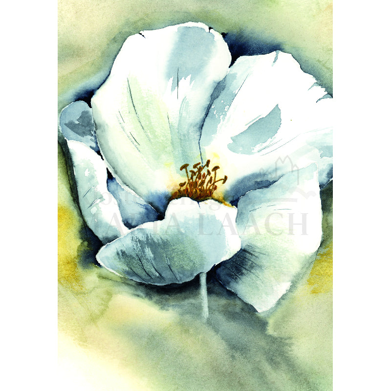 Weiße Blüte
