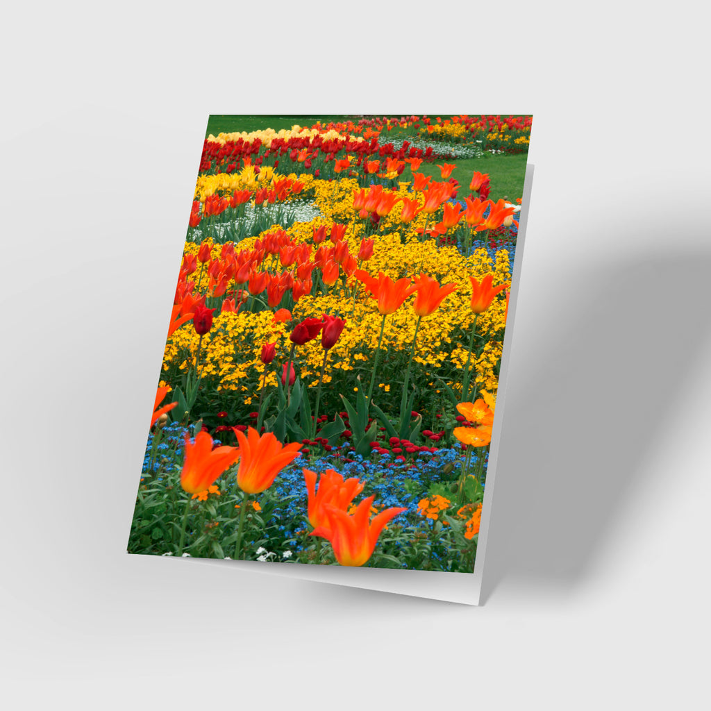 Glückwunschkarte zum Geburtstag „Blumenwiese im Frühling"