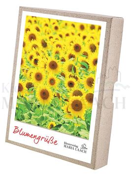 Klosterverlag: Karten: Kartenboxen