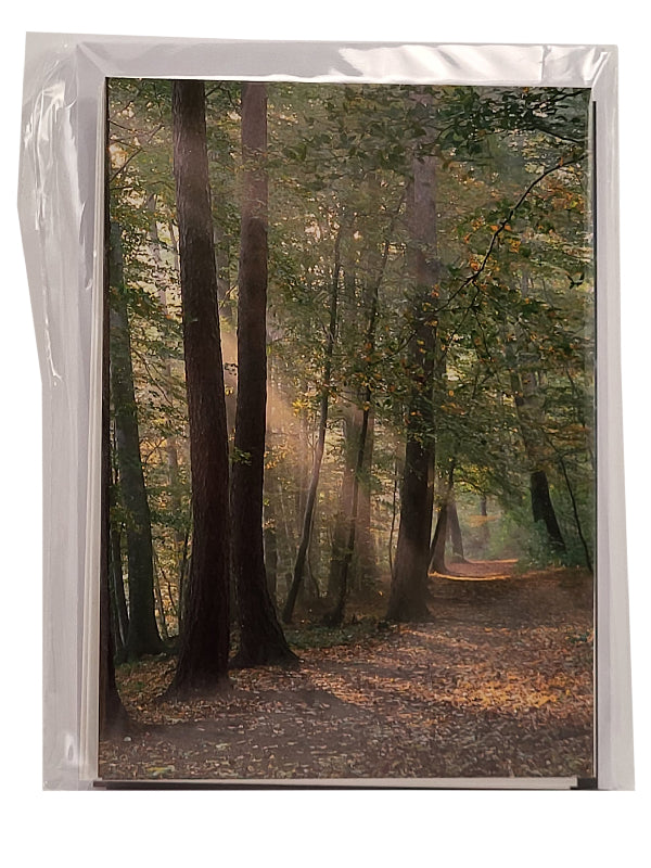 Foto: Kartenset Zur Anteilnahme, 6 Motive, 14,8 x 10,5 cm, in Cellopahnhülle