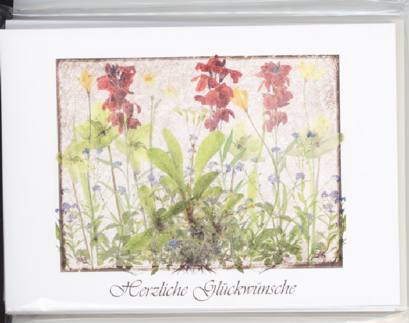 Foto: Kartenset Glückwunschkarten, 6 Motive, 17 x 12 cm, in Cellopahnhülle