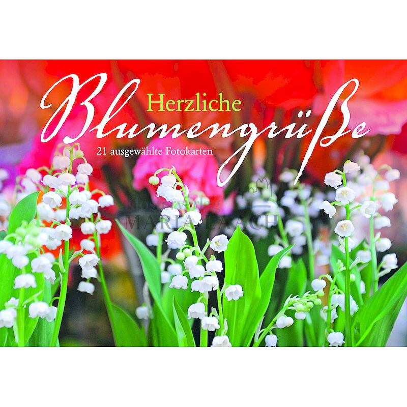 Kartenbuch "Herzliche Blumengrüße"