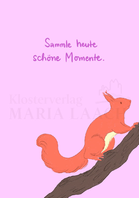 Sammle heute schöne Momente