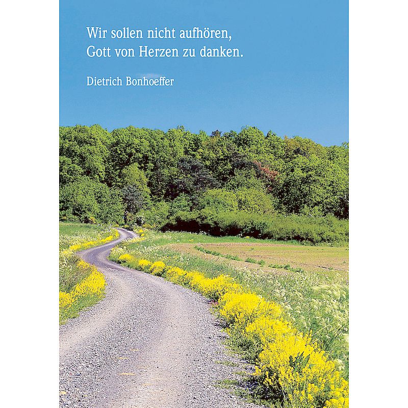 Grußkarte 'Wir sollen nicht aufhören ...'