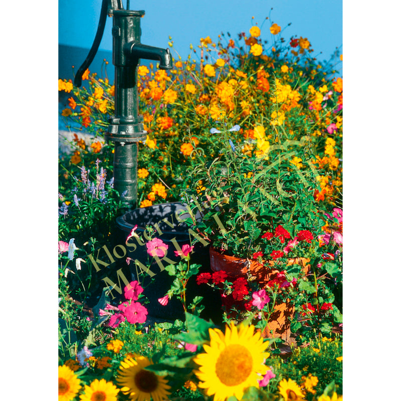 Doppelkarte zum Geburtstag 'Blumenwiese'