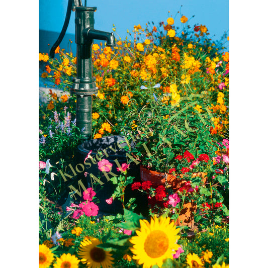 Doppelkarte zum Geburtstag 'Blumenwiese'