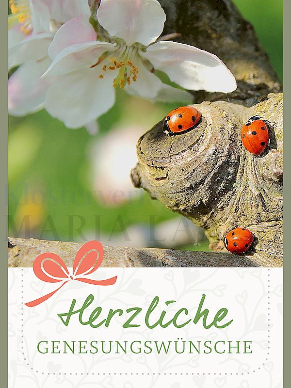 Foto: Herzliche Genesungswünsche
