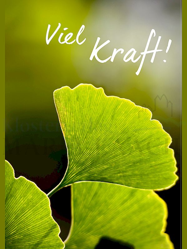 Foto: Viel Kraft!