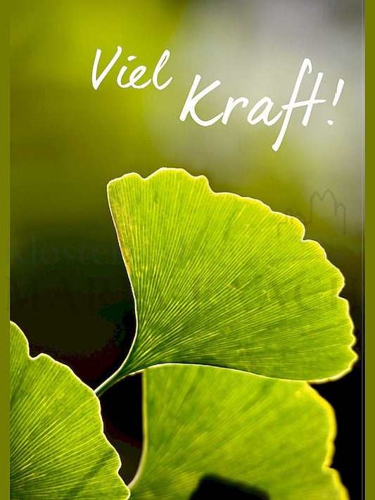Foto: Viel Kraft!