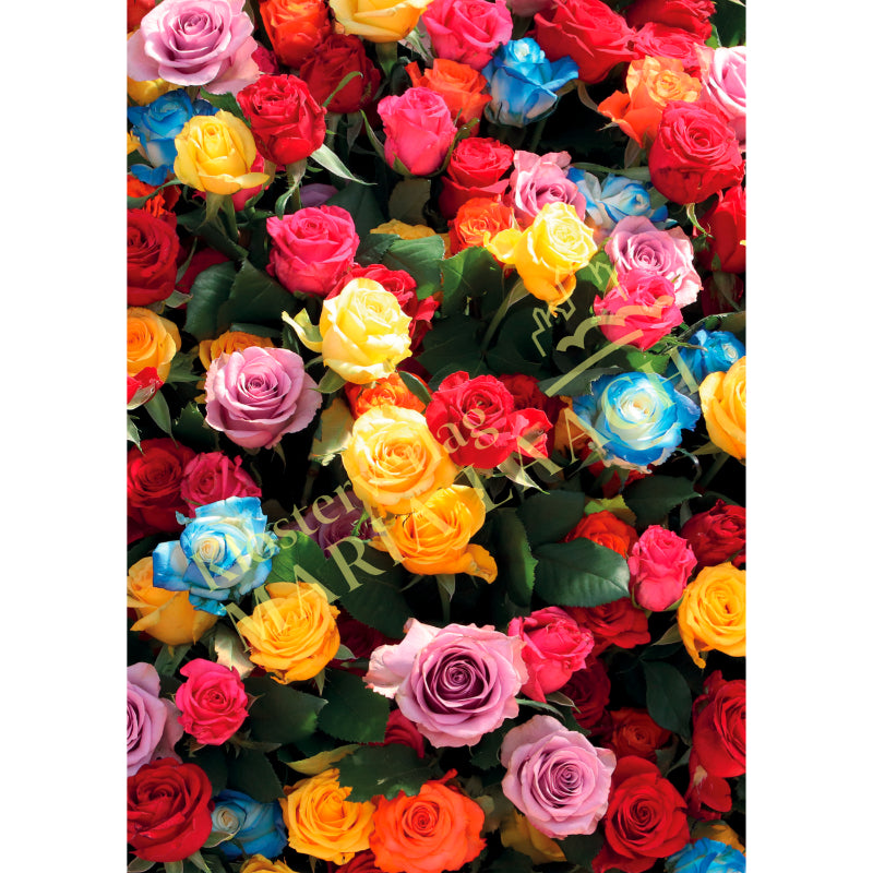 Grußkarte 'Rosen'