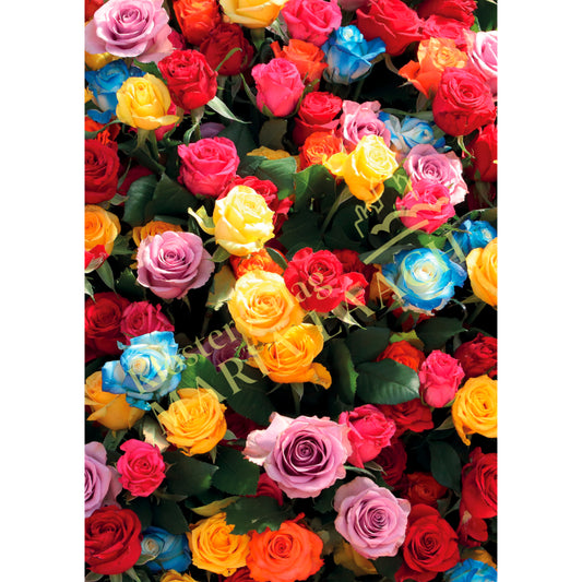 Grußkarte 'Rosen'