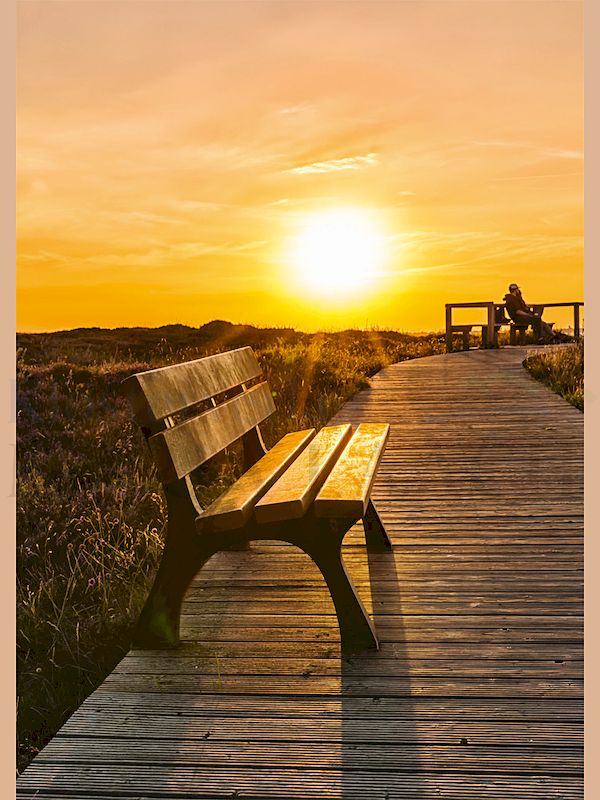 Foto: Bank im Sonnenuntergang
