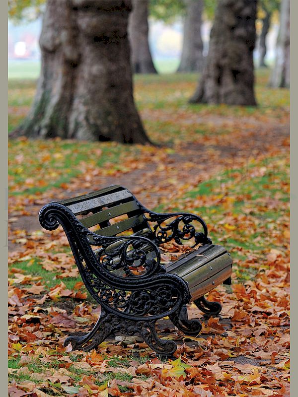 Foto: Bank im Hydepark
