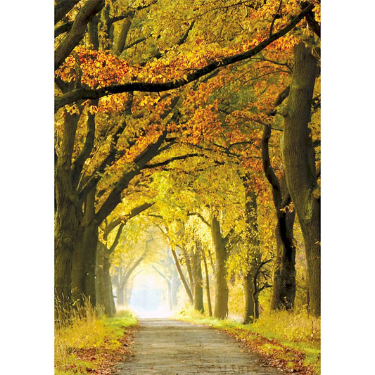Kondolenzkarte - Allee