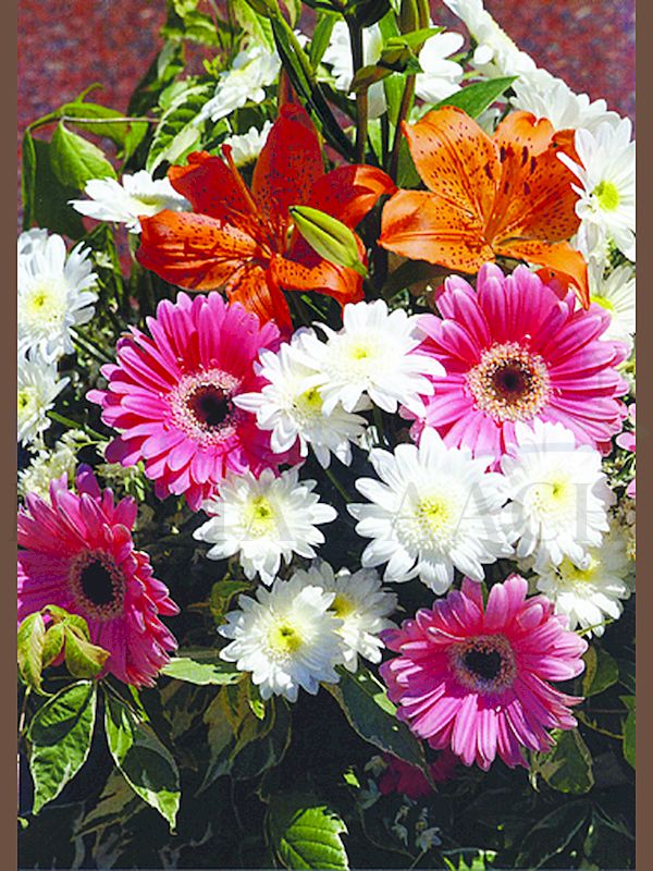 Foto: Blumenstrauß