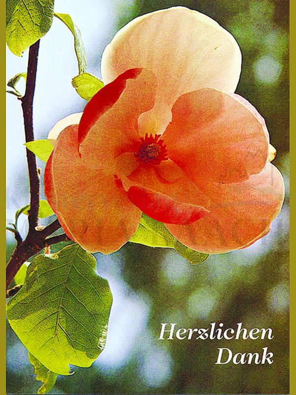 Foto: Herzlichen Dank