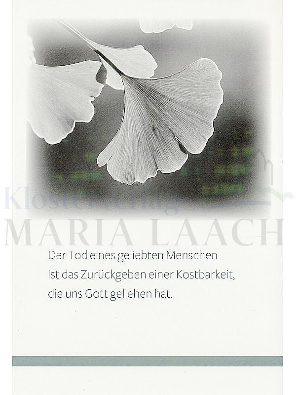 Foto: Der Tod eines geliebten Menschen ...