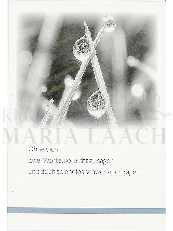 Foto: Ohne dich ...