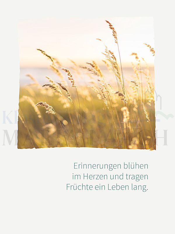 Foto: Erinnerungen blühen im Herzen