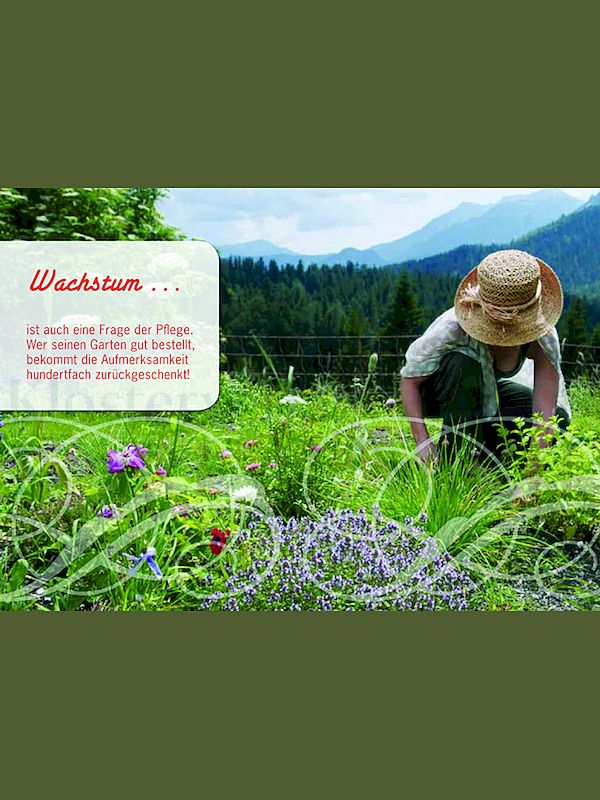 Foto: Wachstum ist auch ...