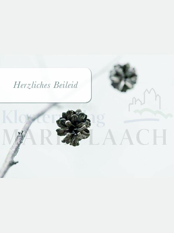 Foto: Herzliches Beileid (Tannenzapfen)