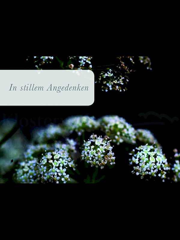 Foto: In stillem Angedenken (weiße kleine Blüten)