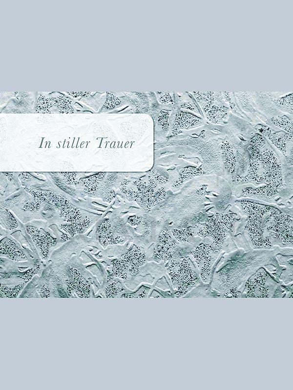 Foto: In stiller Trauer (Eismuster)