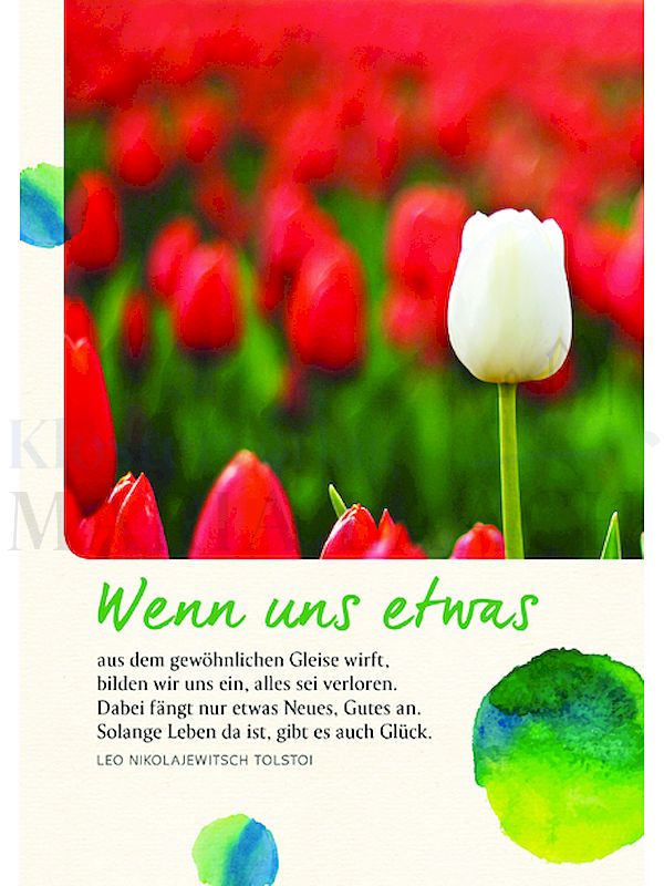 Foto: Wenn uns etwas aus dem gewöhnlichen Gleise wirft ...