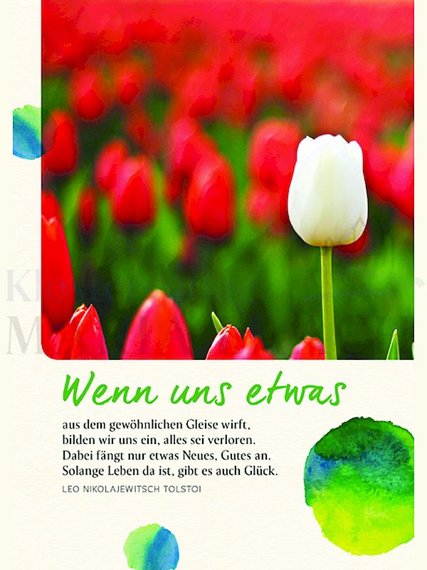 Foto: Wenn uns etwas aus dem gewöhnlichen Gleise wirft ...