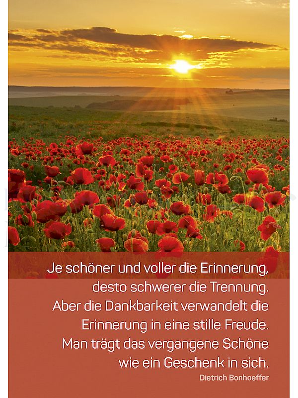 Foto: Je schöner und voller die Erinnerung ...