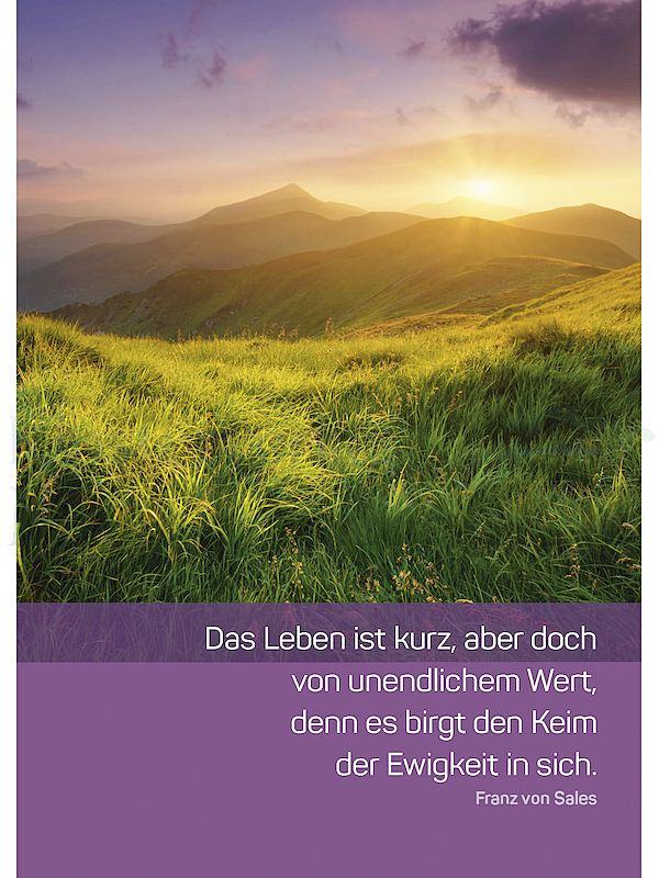 Foto: Das Leben ist kurz, aber doch von unendlichem Wert ...