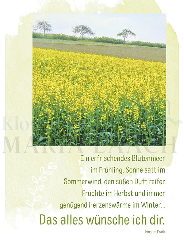 Foto: Ein erfrischendes Blütenmeer im Frühling ...