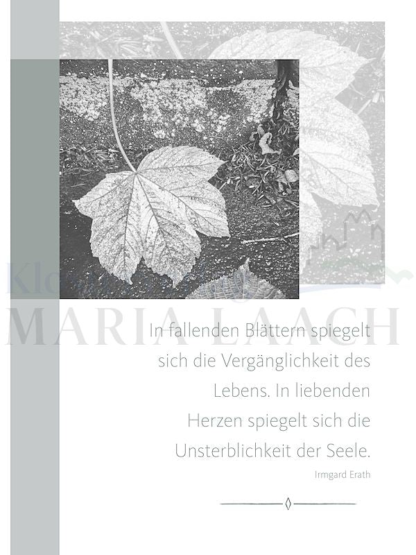 Foto: In fallenden Blättern spiegelt sich die Vergänglichkeit des Lebens ...