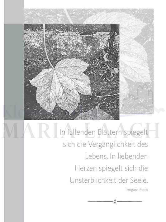 Foto: In fallenden Blättern spiegelt sich die Vergänglichkeit des Lebens ...