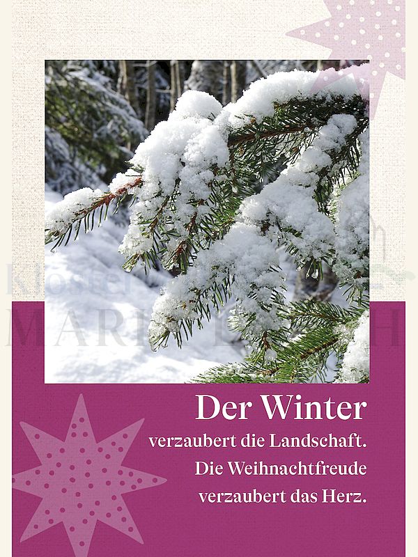 Foto: Der Winter verzaubert die Landschaft ...