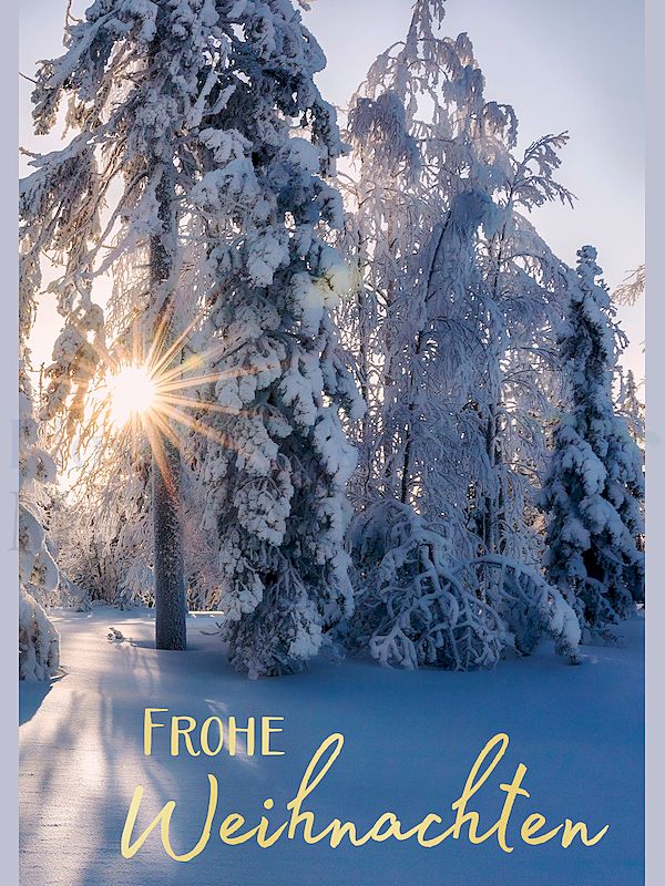 Foto: Frohe Weihnachten