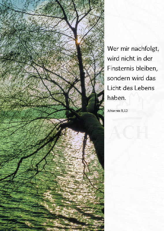 Wer mir nachfolgt, wird nicht ...