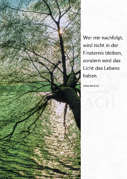 Wer mir nachfolgt, wird nicht ...