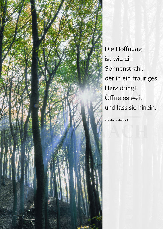 Die Hoffnung ist wie ein Sonnenstrahl ...