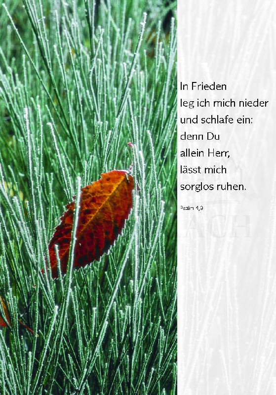 In Frieden leg ich mich nieder ...