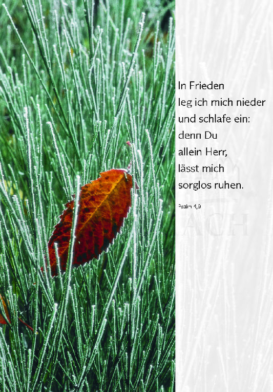 In Frieden leg ich mich nieder ...
