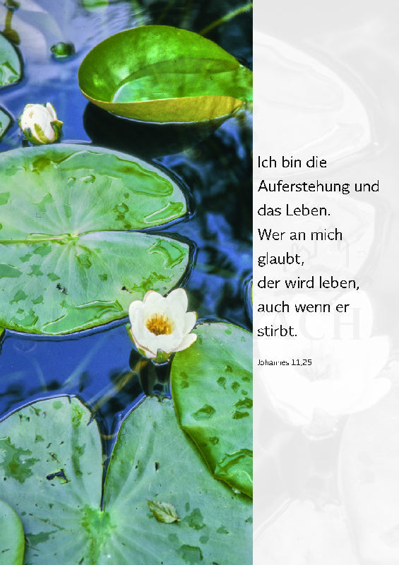 Ich bin die Auferstehung und das Leben.