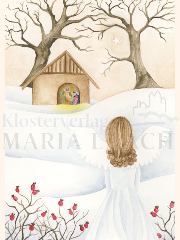 Foto: Winterwald