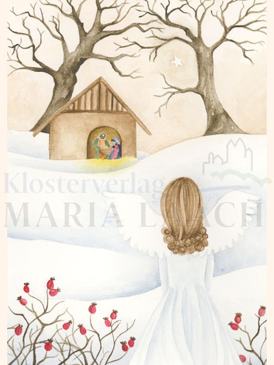 Foto: Winterwald