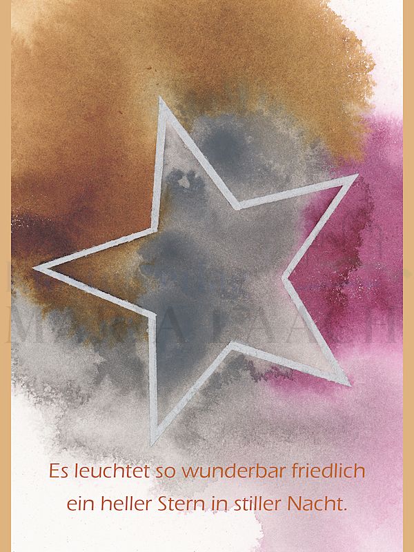 Foto: Weihnachtsstern
