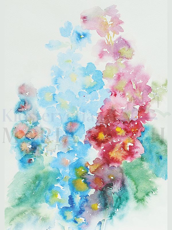 Foto: Rittersporn - Aquarell