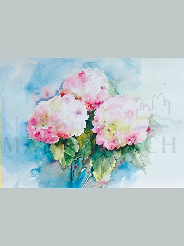 Foto: Hortensien - Aquarell