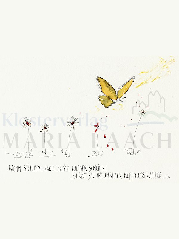 Foto: Wenn sich eine zarte Blüte ...