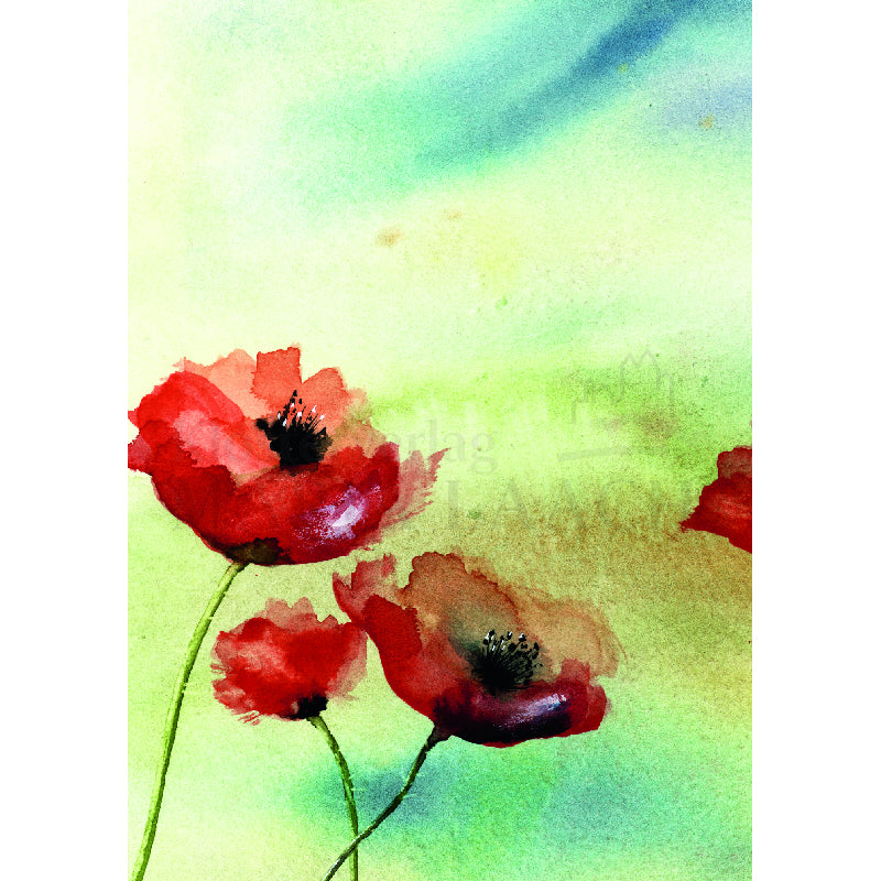 Mohnblumen