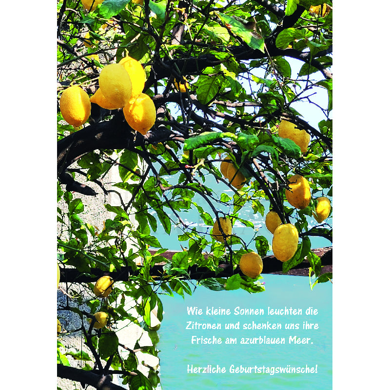 Wie kleine Sonne leuchten …